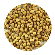 coriander.png, 27kB