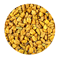 fenugreek